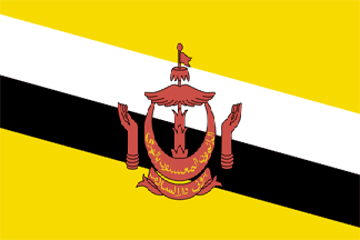brunei flag